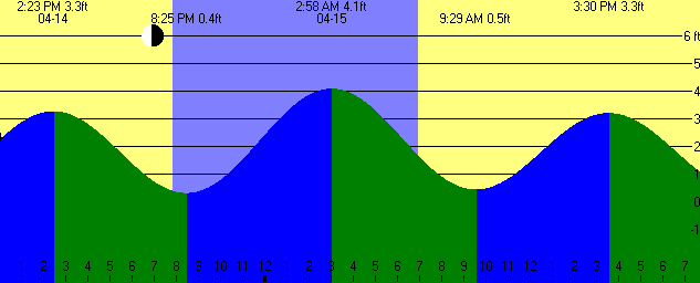 WD Tide Graph